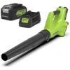 Greenworks 24 Volt Accu Bladblazer Met 4.0 Ah Accu En Lader
