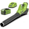 Greenworks Accu Bladblazer 40V Met 2.0Ah Accu En Lader